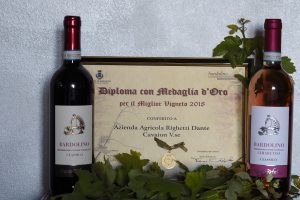 Medaglia d'Oro miglior Vigneto Bardolino